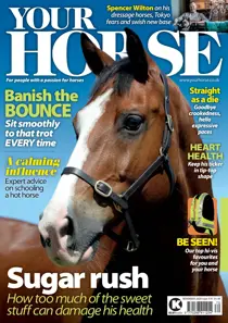 November 2020 
                issue November 2020