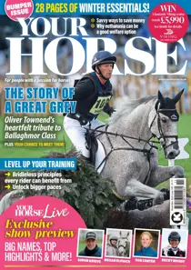 November 2026 
                issue November 2026