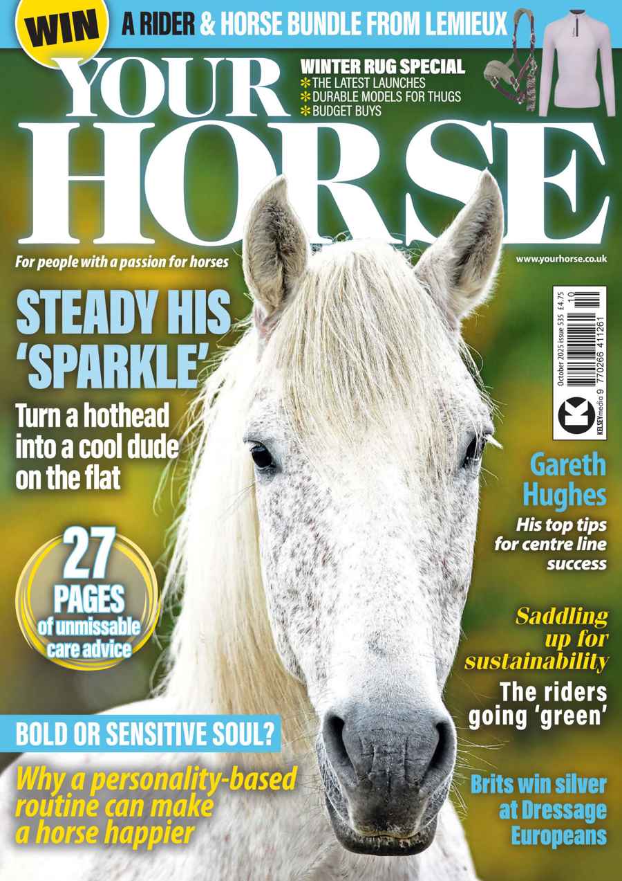 YOUR HORSE