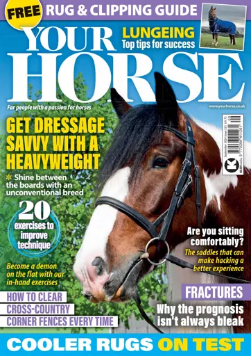 Your Horse Preview