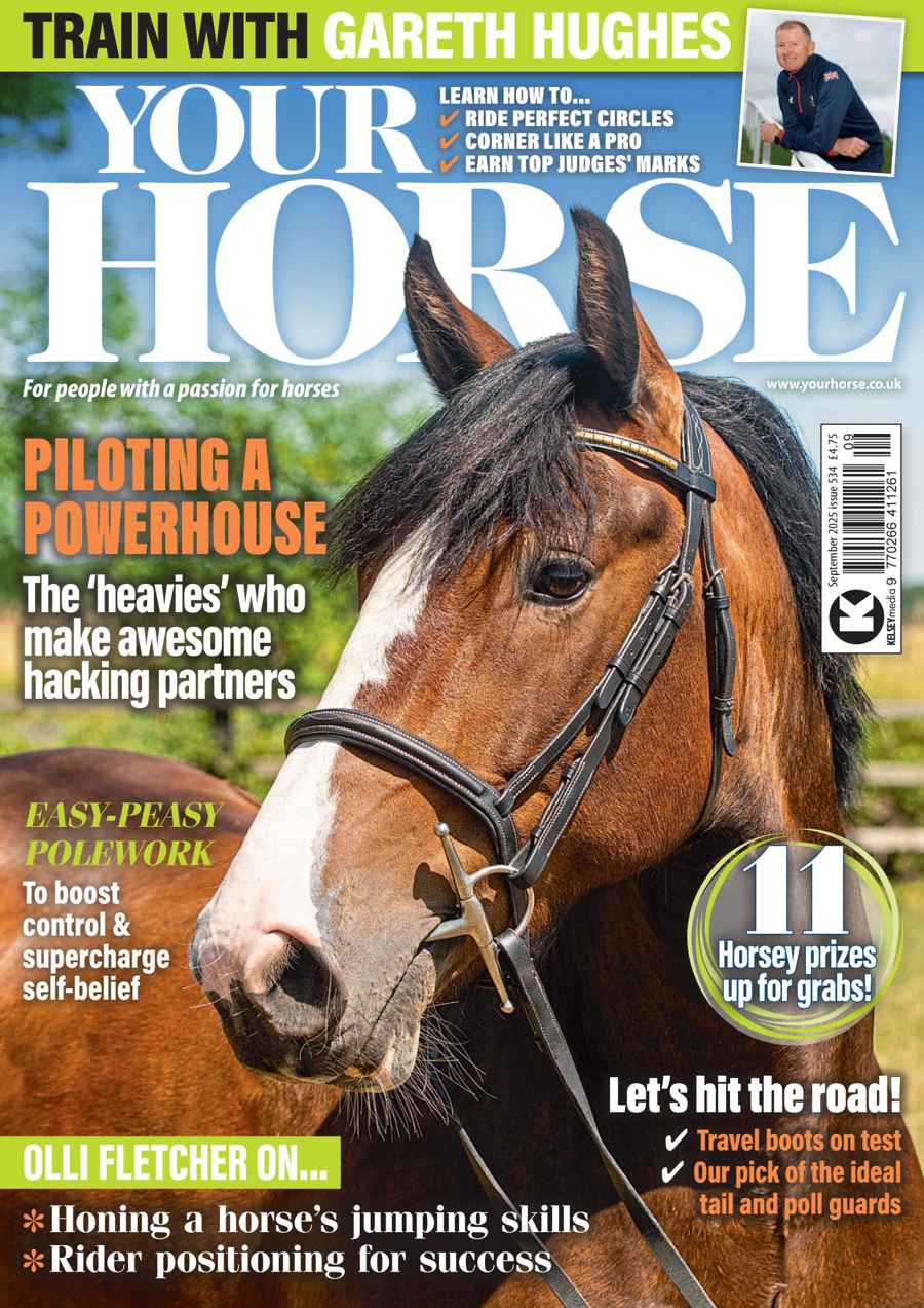 YOUR HORSE