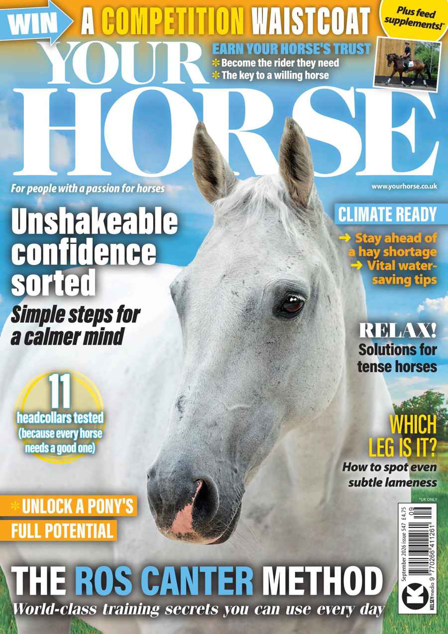 YOUR HORSE