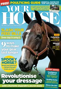 Spring 2018 
                issue Spring 2018