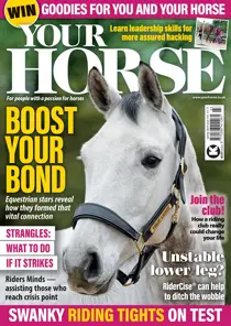 Your Horse Complete Your Collection Cover 2