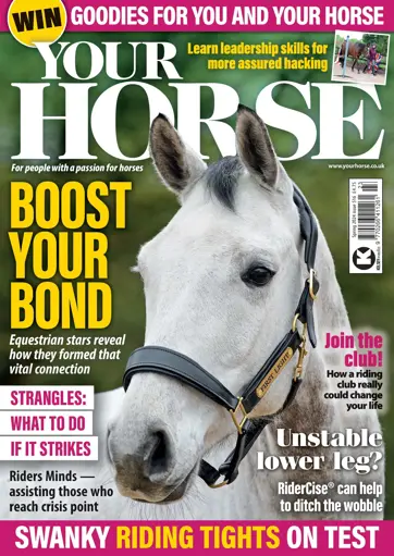 Your Horse Preview