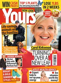 Issue 380 
                issue Issue 380