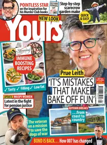 Issue 385 
                issue Issue 385