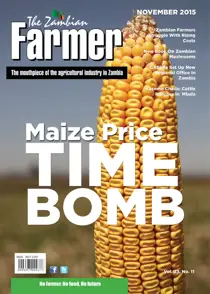 November 2015 
                issue November 2015